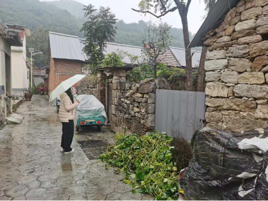 谢年姗工作照